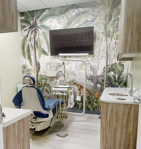 Elite Pediatric Dentistry - Lorton
